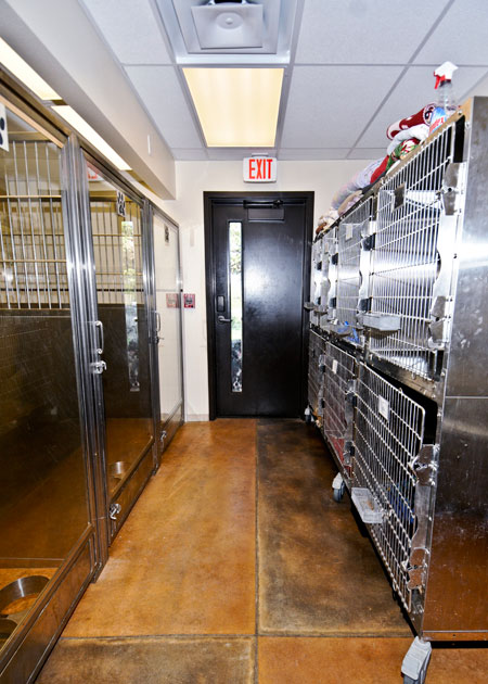 Veterinary hospital kennel/ward
