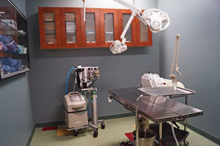 Veterinary hospital surgery suite