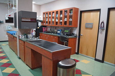 Veterinary hospital treatment room