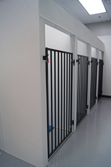 Veterinary hospital kennel/ward