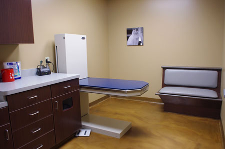 Veterinary hospital exam room