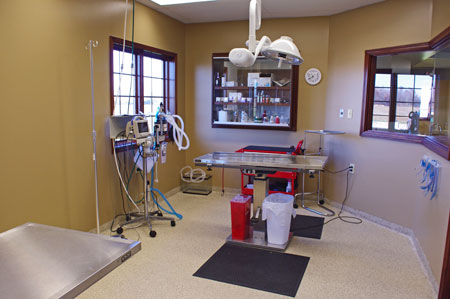 Veterinary hospital surgery suite