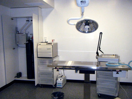 Veterinary hospital surgery suite