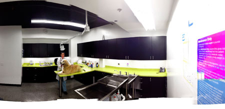 Veterinary hospital treatment room