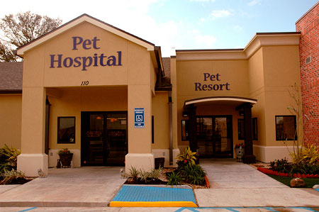 Veterinary hospital exterior