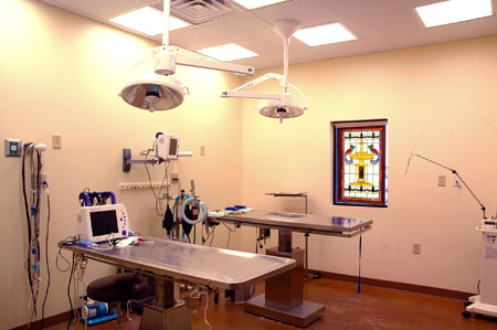 Veterinary hospital surgery suite
