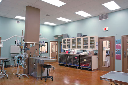 Veterinary hospital treatment room