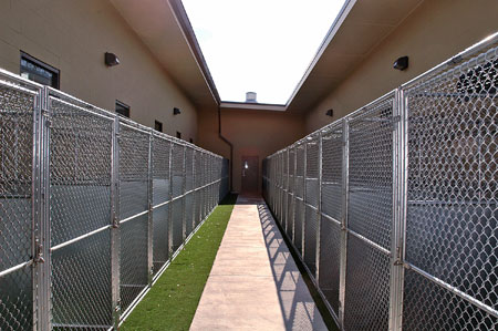 Veterinary hospital kennel/ward