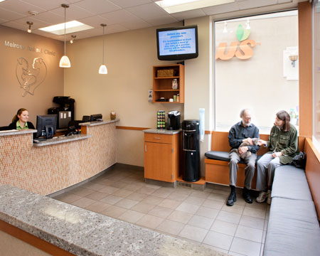 Veterinary hospital reception area
