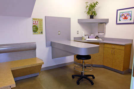 Veterinary hospital exam room