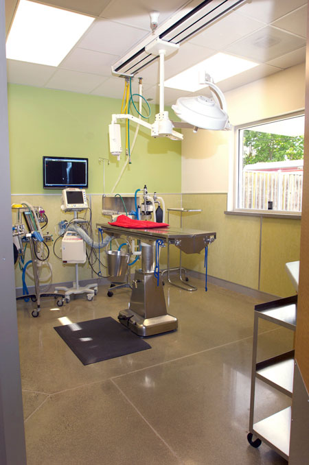 Veterinary hospital surgery suite