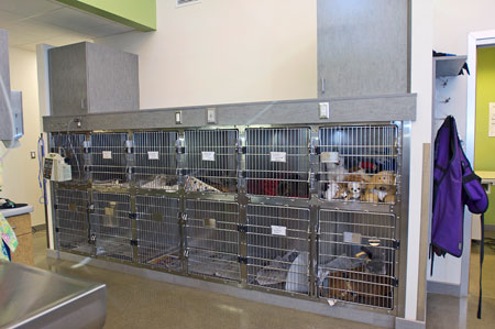 Veterinary hospital kennel/ward