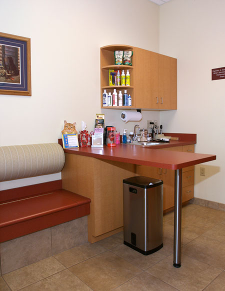 Veterinary hospital exam room