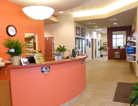 Veterinary hospital reception area