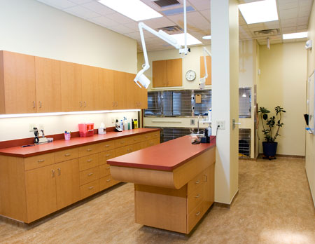Veterinary hospital treatment room