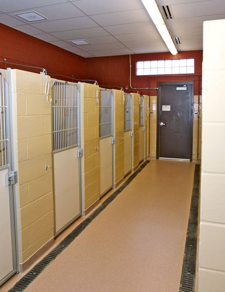 Veterinary hospital kennel/ward