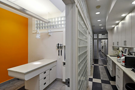 Veterinary hospital exam room