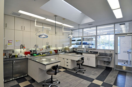 Veterinary hospital treatment room