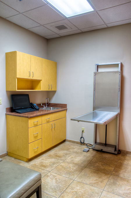 Veterinary hospital exam room