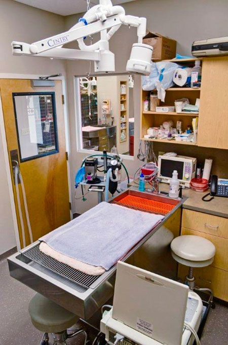 Veterinary hospital surgery suite