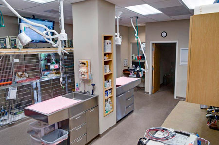 Veterinary hospital treatment room