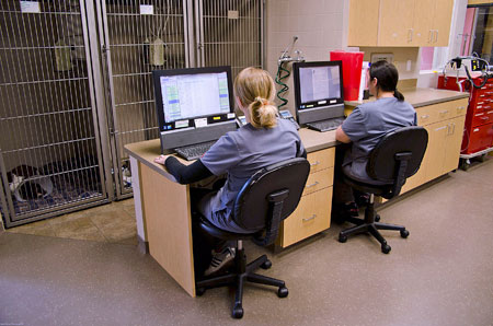 Veterinary hospital kennel/ward