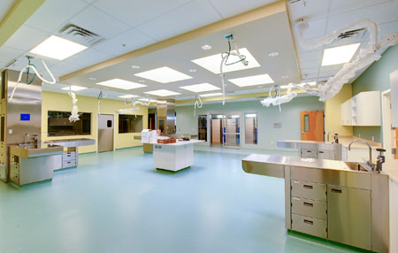 Veterinary hospital treatment room