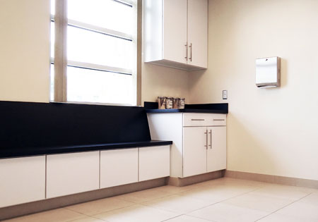 Veterinary hospital exam room