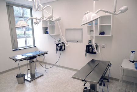 Veterinary hospital surgery suite