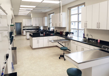 Veterinary hospital treatment room