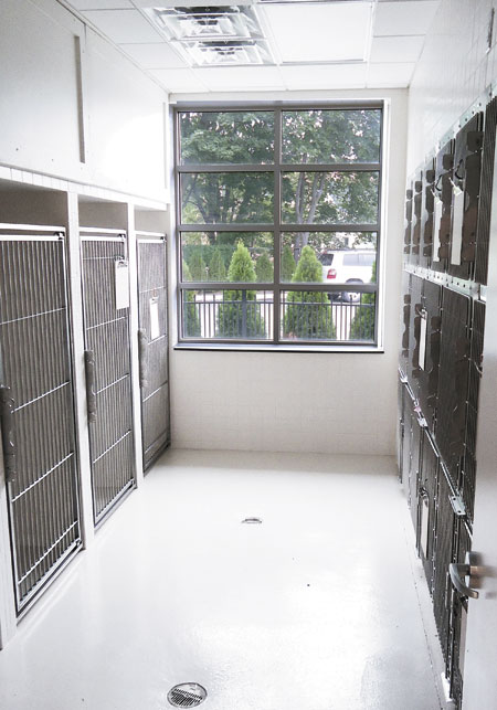 Veterinary hospital kennel/ward