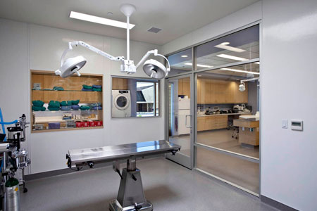 Veterinary hospital surgery suite