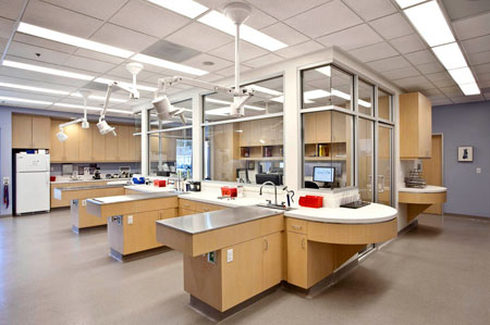 Veterinary hospital treatment room