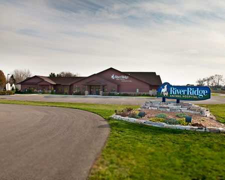Veterinary hospital exterior