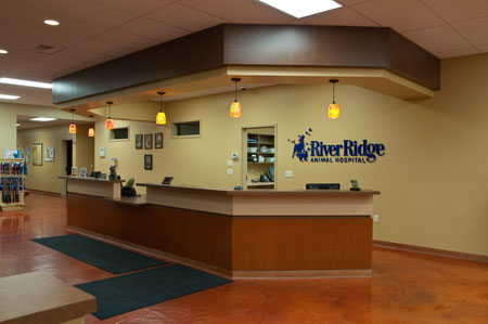 Veterinary hospital reception area