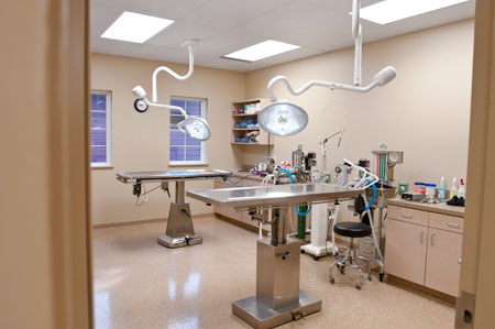 Veterinary hospital surgery suite