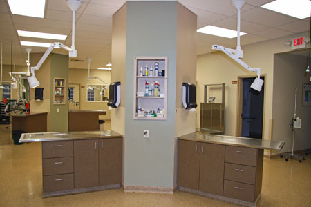 Veterinary hospital treatment room