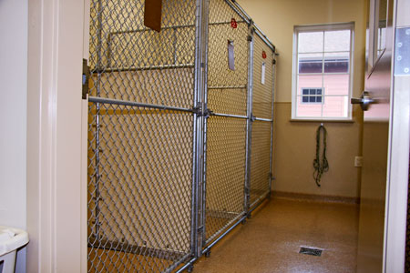 Veterinary hospital kennel/ward