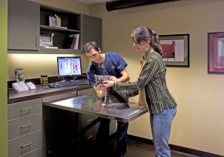 Veterinary hospital exam room