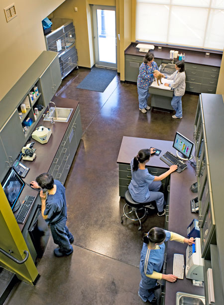 Veterinary hospital treatment room