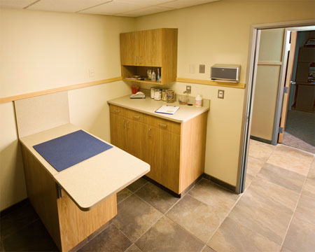 Veterinary hospital exam room
