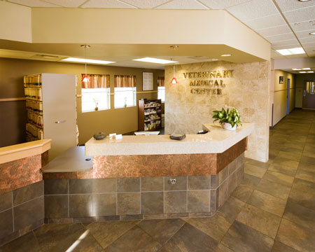 Veterinary hospital reception area