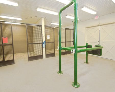 Veterinary hospital equine exam