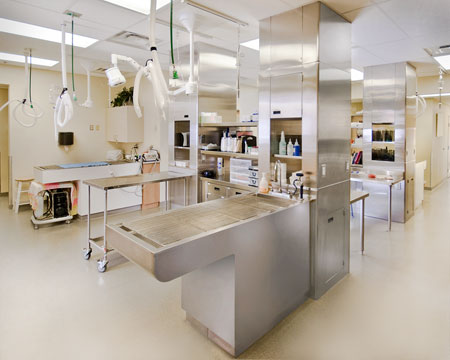 Veterinary hospital treatment room
