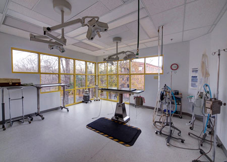 Veterinary hospital surgery suite