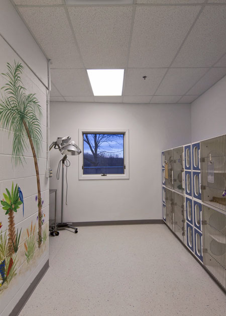 Veterinary hospital kennel/ward