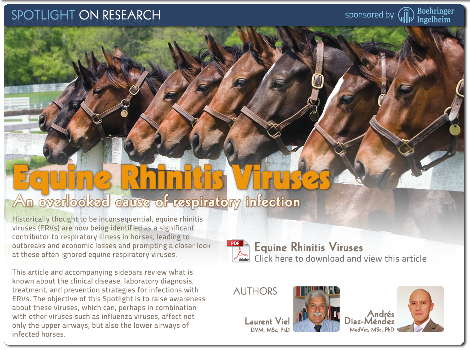 Equine Rhinitis Viruses